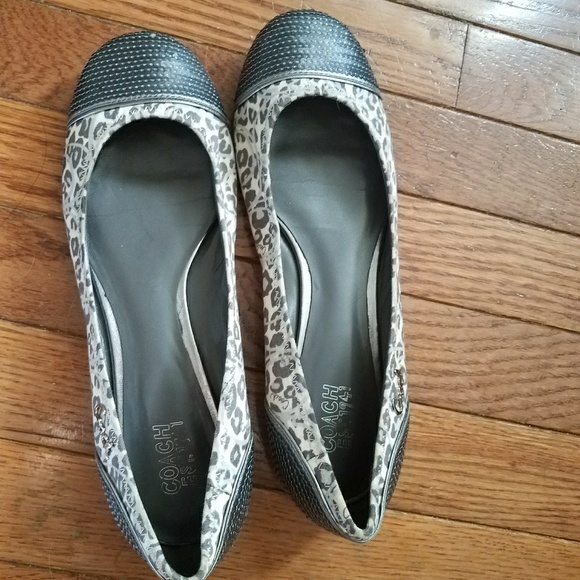 Coach Shine- - Picture 5 of 6